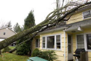 Storm Damage to Your Home | Modernistic