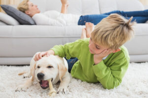 boy with dog pet odors