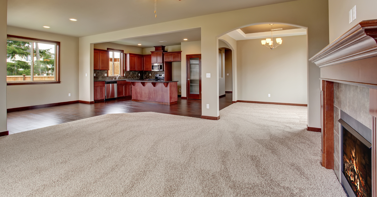 Michigan, how often should i clean my carpets? carpet cleaner
