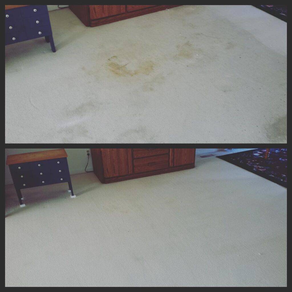 Modernistic Michigan Carpet Cleaning