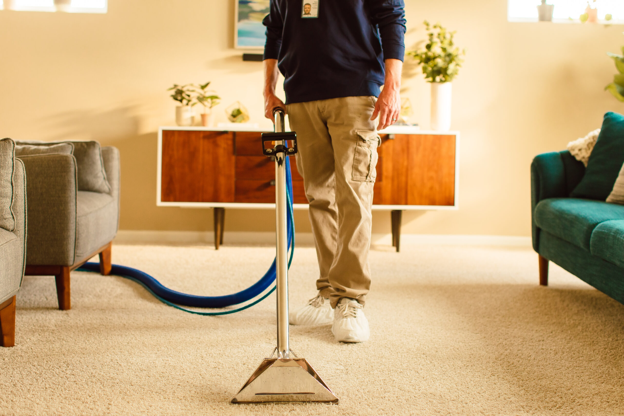 Carpet Cleaning
