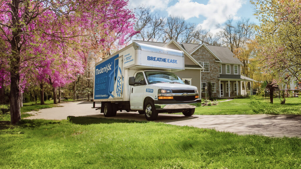 Summer 2024 Modernistic® Simple & Quick Carpet Cleaning!