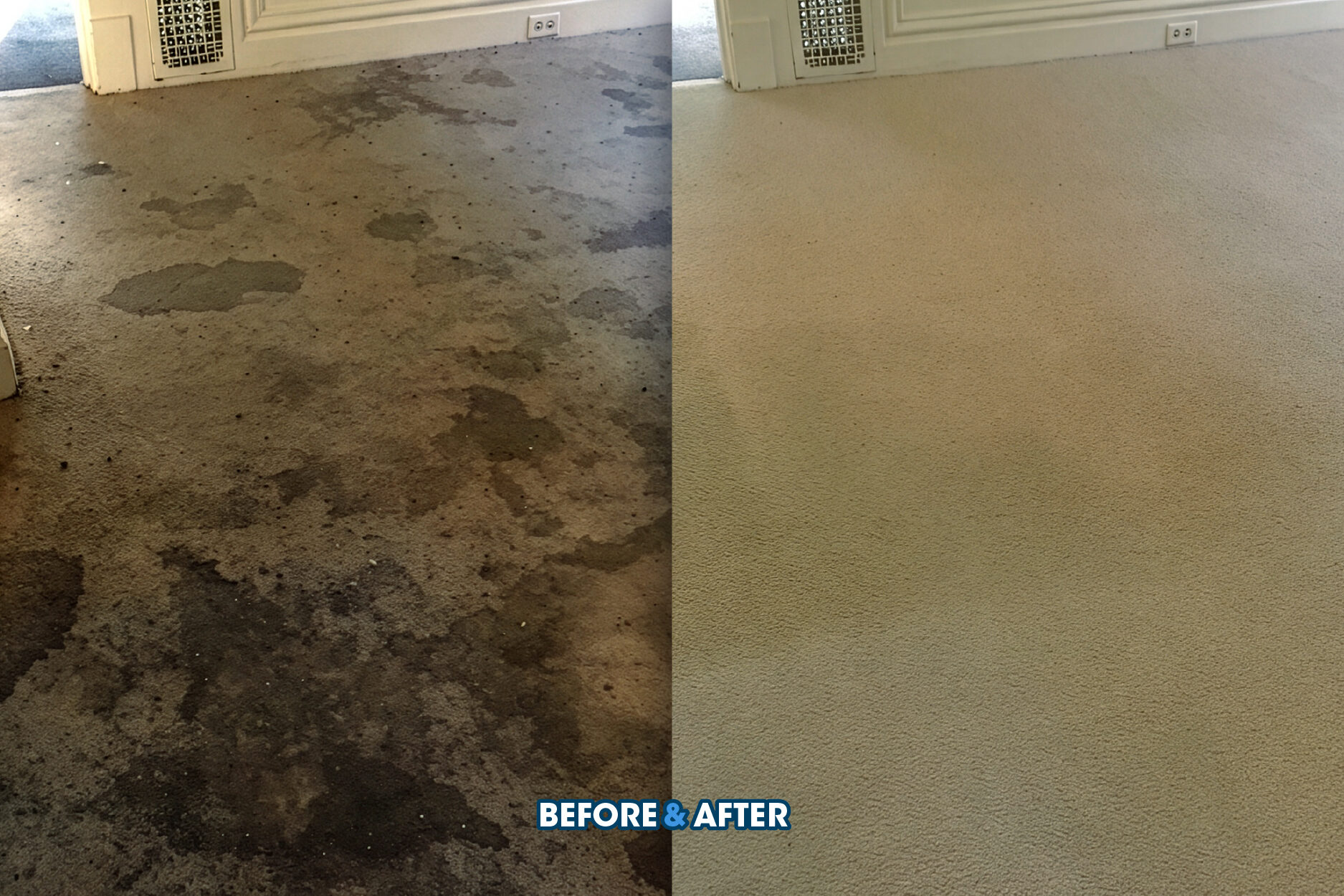 Carpet - Before and After