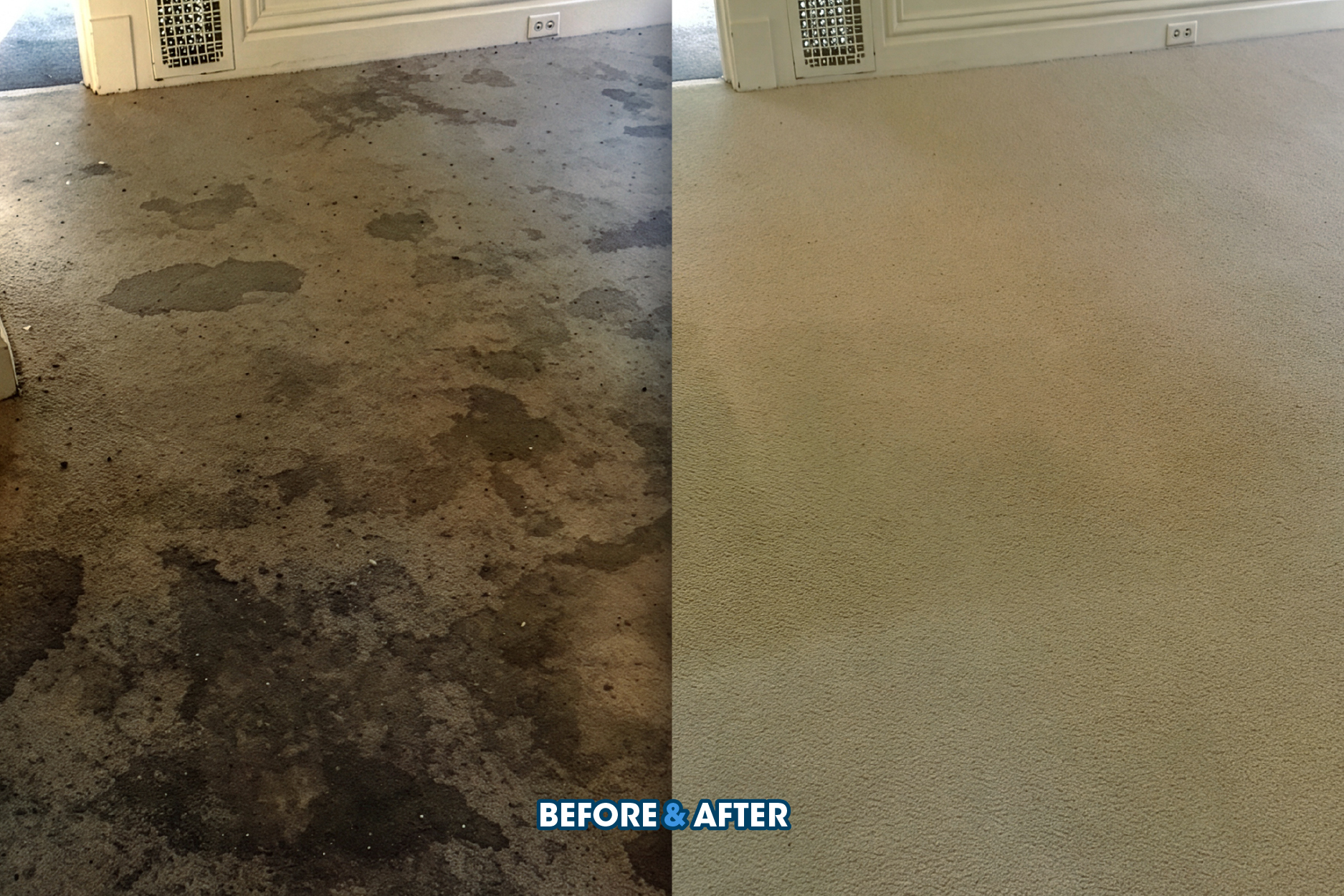 Carpet - Before and After